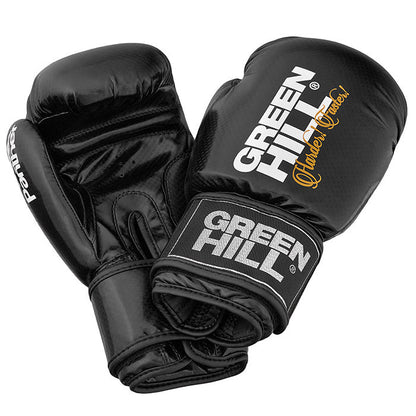Boxhandschuhe PANTHER - Kunstleder